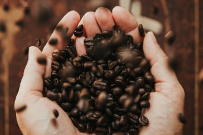 Food Empire Holdings (F03): The Owner's Analysis