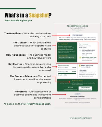 Company Snapshots: Quick Reference for Business Analysis